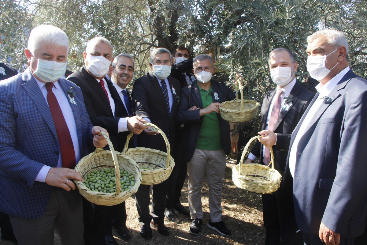  Hatay'da Zeytin ve Zeytinyağı Festivali